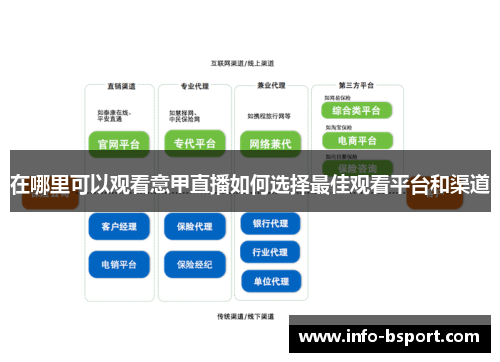 在哪里可以观看意甲直播如何选择最佳观看平台和渠道