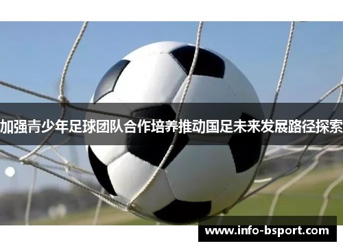 加强青少年足球团队合作培养推动国足未来发展路径探索