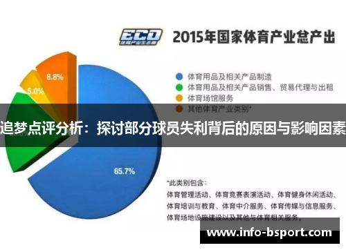 追梦点评分析：探讨部分球员失利背后的原因与影响因素
