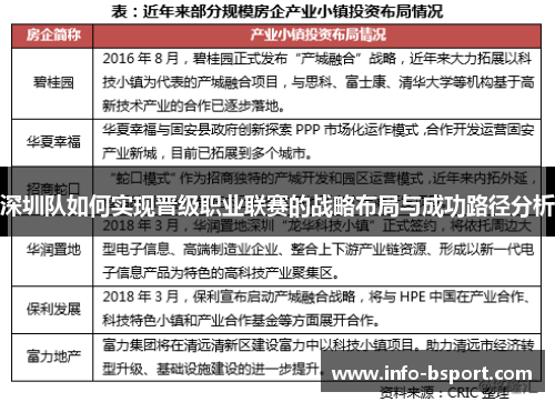 深圳队如何实现晋级职业联赛的战略布局与成功路径分析