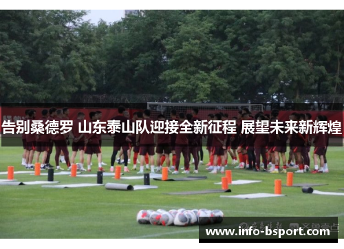 告别桑德罗 山东泰山队迎接全新征程 展望未来新辉煌